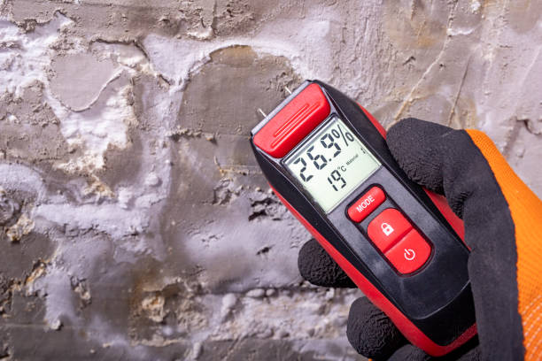 Best Best Mold Removal Companies  in Lyndon, KS