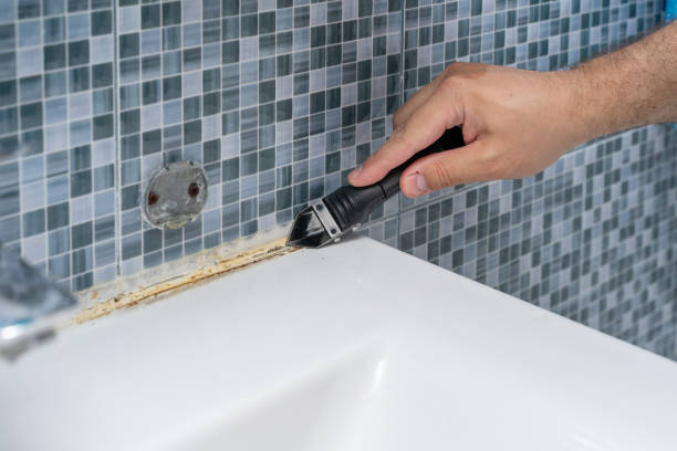 Best Black Mold Removal  in Lyndon, KS