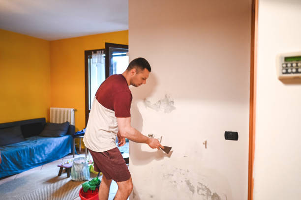 Best Crawl Space Mold Removal  in Lyndon, KS